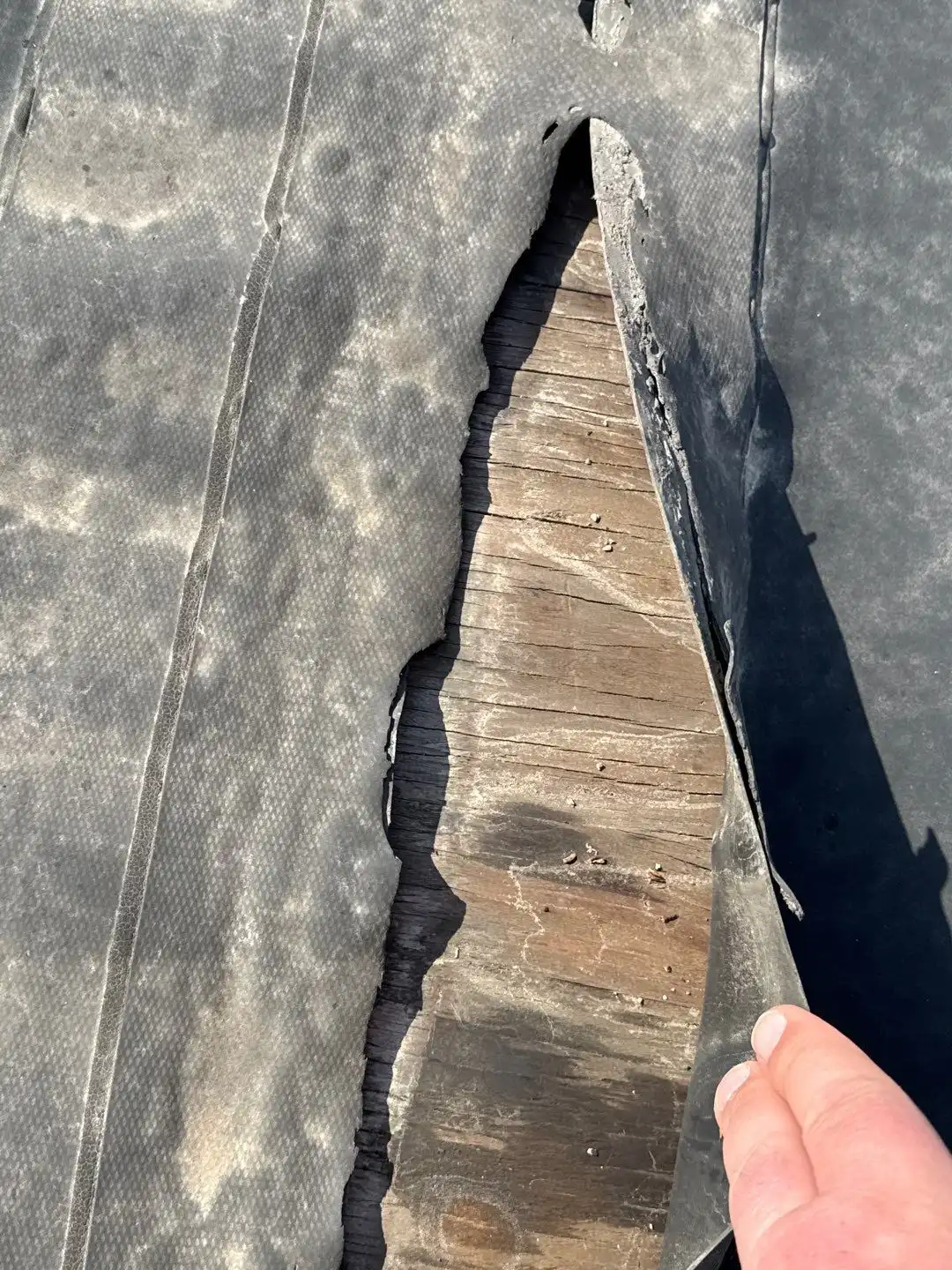 Single-Ply vs Built-Up Roofing: A Longevity Comparison for New Haven